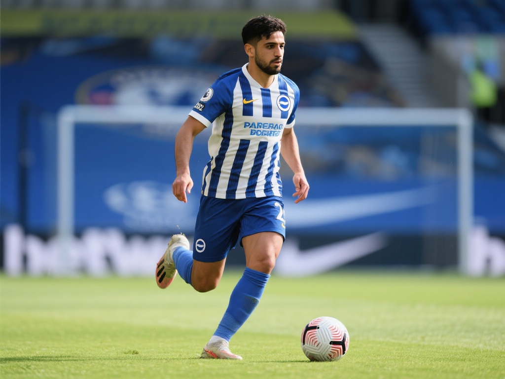 郑智还在国 郑智还在国