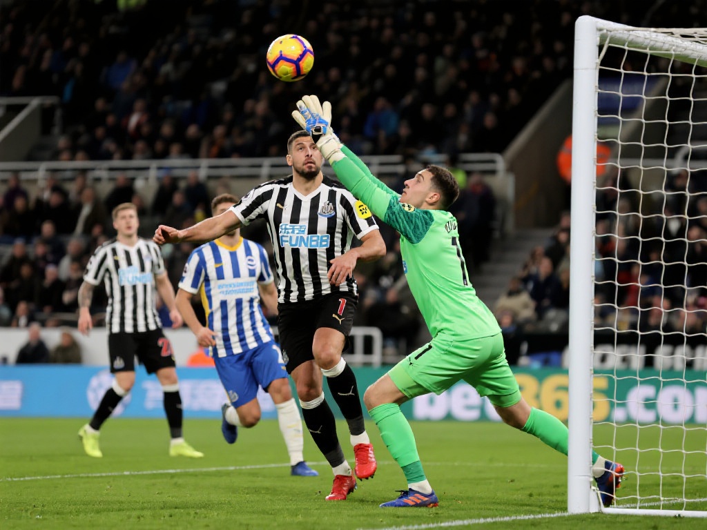 选择与博格 选择与博格